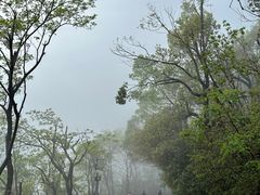-岳麓山风景名胜区