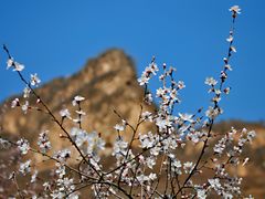 -藏山旅游风景区