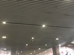 -安阳东站