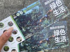 -西双版纳原始森林公园