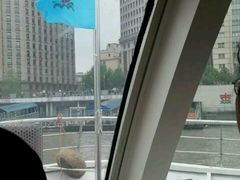 -黄浦江游览快线(金陵东路码头)
