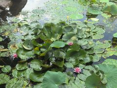 -红山国家森林公园