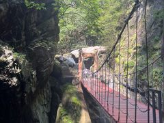 -牛背梁国家森林公园