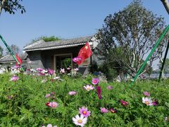 -海珠湖公园