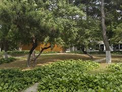 -长春市南湖公园