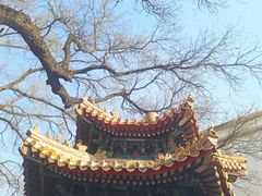 -贤良祠