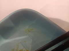 -柠檬树茶餐厅(海雅缤纷城店)