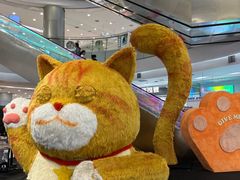 -凯德广场(学府店)