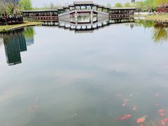 -西海子公园