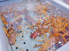 -万龙洲海鲜(南新仓店)