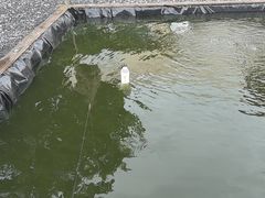 -DGE季风钓虾营地·团建·聚会