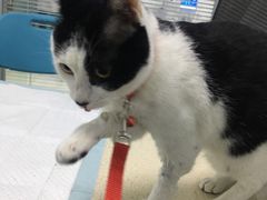 -莘程宠物医院(金山店)