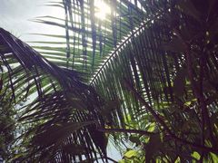 -北马里亚纳群岛博物馆