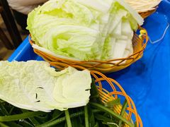 -杨记山珍鸡煲菌汤锅