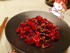 -初蓉丨遇见新川菜(亲贤街荣耀店)