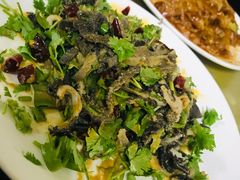 -清真宏玉祥黄门脸餐厅(华荫东里店)