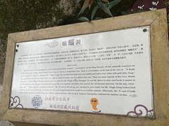 -青芝山风景名胜区