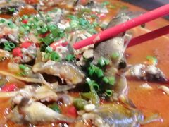 船家烧野鱼-樽宴酒楼·地道川菜·品质宴请