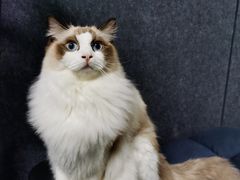 -零纪元VR体验馆·桌游(黄浦店)