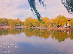 -百花洲