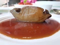 -甄御•海鲜新青岛菜(麦岛店)