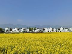 -东梓关景区村庄