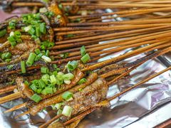 鳝鱼-晓靖轩烧烤(沙河风情店)