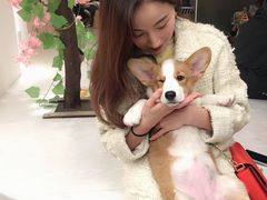 -浣熊柯尔鸭土拨鼠·电玩咖