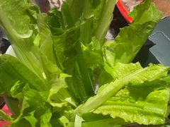 -蜀辣居鲜货老火锅(双流万达店)