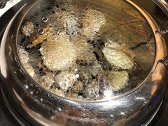 -苏大嘴海鲜牧场(奥林匹克店)