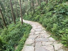 -冶父山国家森林公园