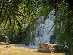 -中国科学院西双版纳热带植物园