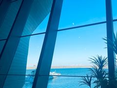 -抱抱地球咖啡馆(国家海洋博物馆店)