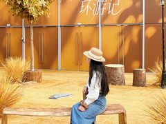 -首开·龙湖成都西宸天街
