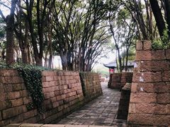 -上海方塔园