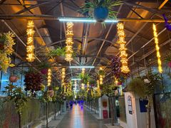 -南宫五洲植物乐园