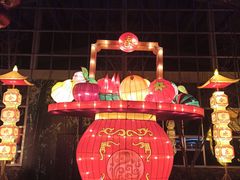 -南宫五洲植物乐园