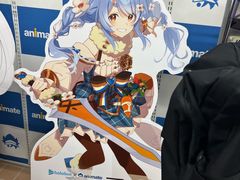 -Animate(秋叶原本馆)