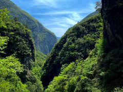 -鹿院坪生态旅游景区