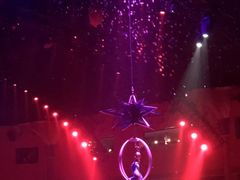 -珠海横琴长隆《卡卡虎奇遇记》