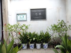 -艺圃