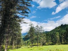 -硗碛藏寨·神木垒景区