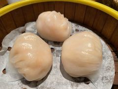南拳虾饺皇-南拳十三姨·潮汕砂锅粥(世纪金源店)