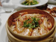 白灼斑节虾-宝丽轩中餐厅BAOLIXUAN
