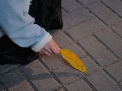 -西苑公园