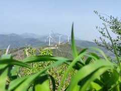 -东白山