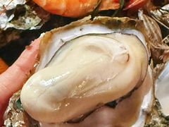 -土蚝·高压锅生蚝(百姓美食街店)