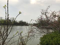 -桃花岛景观公园