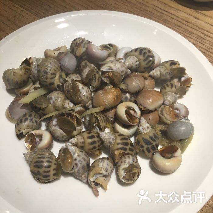 杂螺 姜丝盐水煮,香螺和花螺,盐水不太够,感觉没有把鲜味煮出来