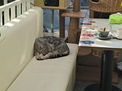 -小时光咖啡馆(北锣鼓巷店)
